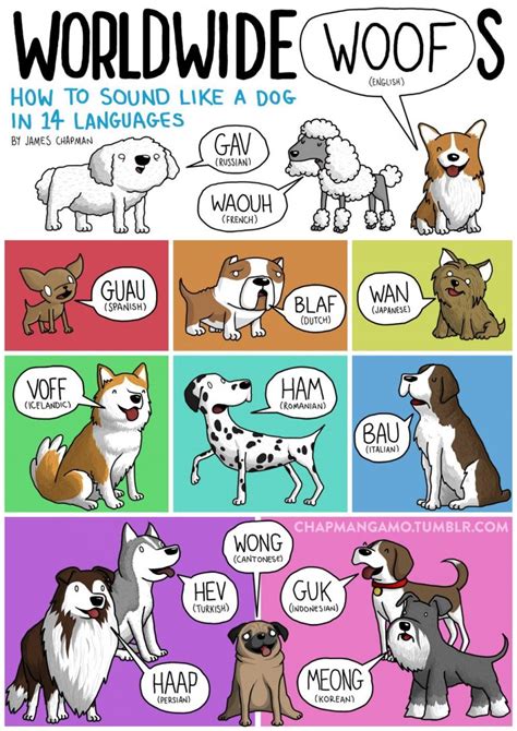 Sounds Dogs Make In Different Languages Bilingual Kidspot