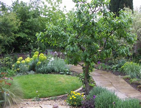 Transforming A Small Garden Fruit Garden Design Fruit Tree Garden