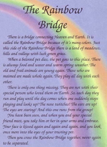I posted the legend of rainbow bridge a few months back in memory of my german shepherd dog, star, who lived to be 14 years old. Pin by Cheryl Hendricks on Pets | Rainbow bridge dog ...