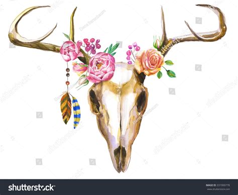 Watercolor Deer Skull Flowers Feathers Stock Illustration 331999778