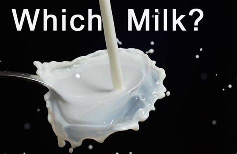 Largest Us Milk Producer Folds Thanks To Superior Non Dairy Milks Newsblaze News