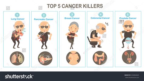 Top Cancers Killers Organ Cancersvector Stock Vector Royalty Free Shutterstock