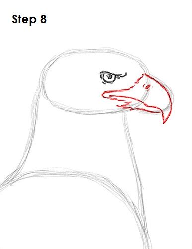 How To Draw A Bald Eagle Video And Step By Step Pictures