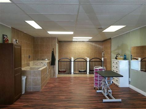 Repinned Grooming Shop Layout Dog Grooming Salon Decor Grooming