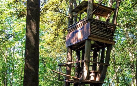 Hidden Treehouse Tucked Away Might Be Vancouvers Best Kept Secret