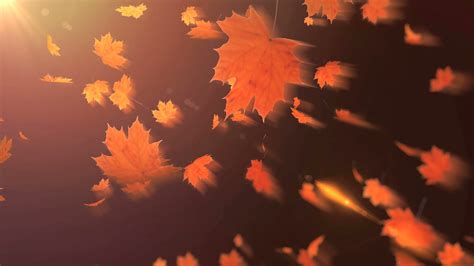 Falling Maple Leaves Motion Background 0014 Sbv 300451256 Storyblocks