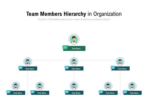 Team Members Hierarchy In Organization Presentation Powerpoint Images