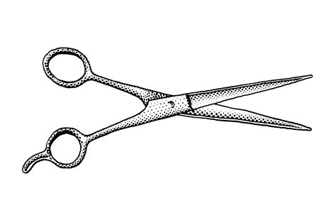 The Gallery For Hair Cutting Scissors Drawing
