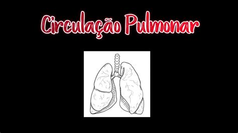 Sistema Cardiovascular Circulação Pulmonar 4 Youtube