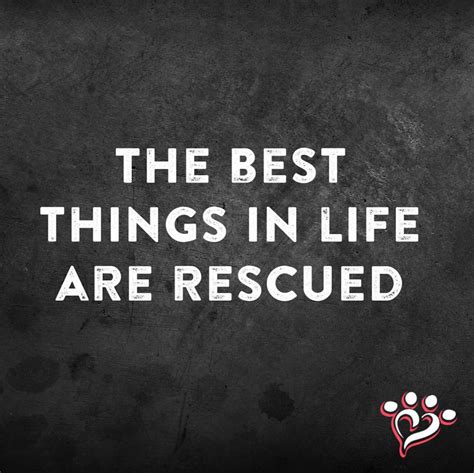 The Best Things In Life Are Rescued Dog Quote Rescue Quotes
