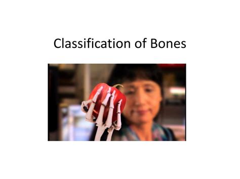Ppt Classification Of Bones Powerpoint Presentation Free Download
