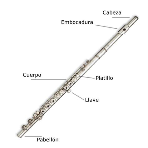 Flauta Origen Significado Partes Y Todo Lo Que Desconoce
