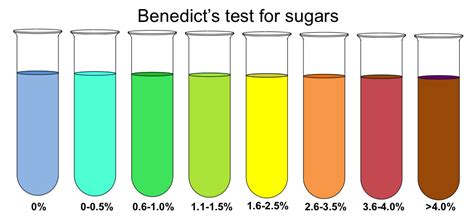Benedicts Test Principle Preparation Procedure And Result