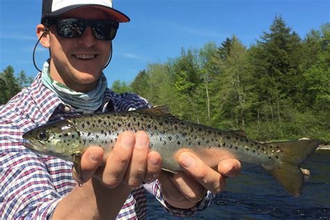 Maine Fly Fishing Guided Trips In The Kennebec Valley