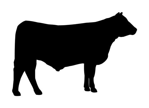Find the perfect show steer silhouette stock photos and editorial news pictures from getty images. ANGUS COW CATTLE DECAL VINYL STICKER CAR VAN LAPTOP ...