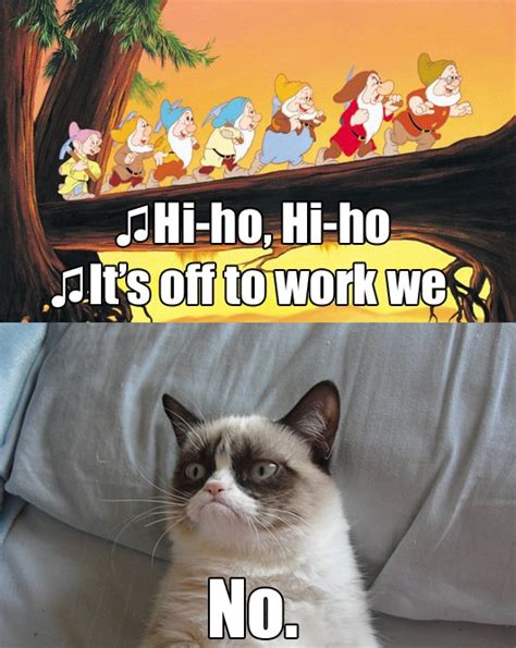 18 Extremely Funny Grumpy Cat No Memes