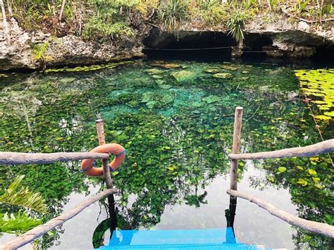Cenote Nicte Ha Tulum 2020 All You Need To Know Before You Go With
