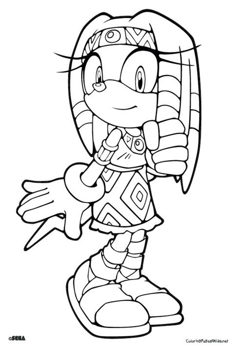 Sonic's design has changed enormously over the years, but sonic remains a character who has always kept his charisma. 82 bästa bilderna om malen på Pinterest | Super mario bros ...
