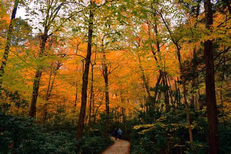 Fall Fun In Pocono Mountains Fall Festivals And Foliage