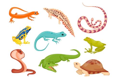 Premium Vector Reptile And Amphibian Species Illustrations Set