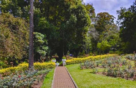 Victoria Park Botanical Park In Nuwara Eliya Of Sri Lanka