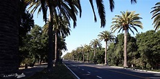 Conheça um pouco mais sobre Palo Alto, California - E aí, férias!
