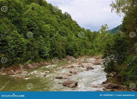 Mountain River Flowing Through Green Forest Beautiful Landscape Of