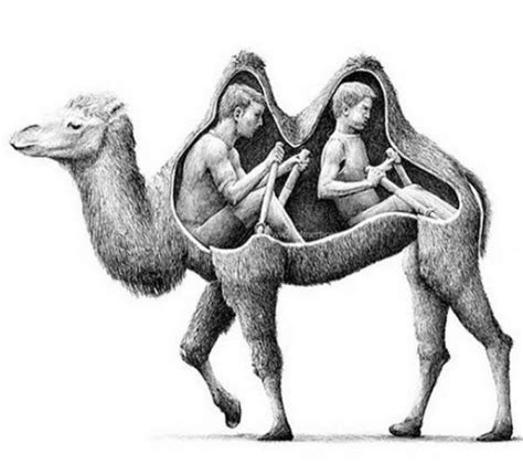 In this drawing lesson we'll show you how to draw a camel in 8 easy steps. 526 best images about Camels on Pinterest