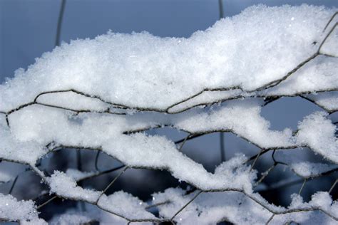Free Images Branch Cold White Frost Ice Weather Season