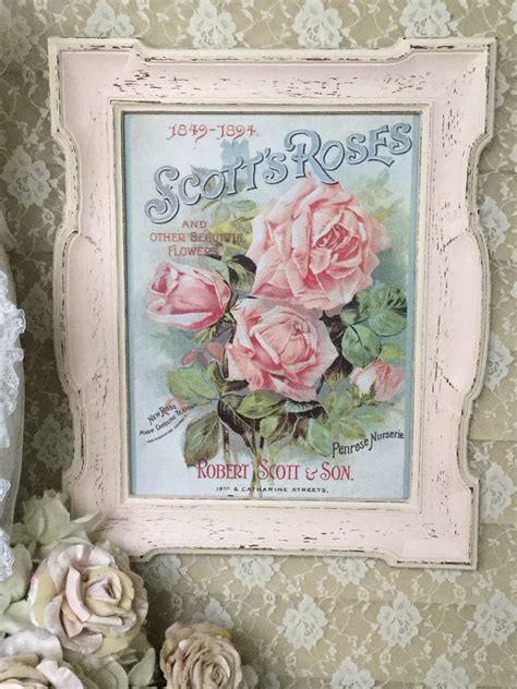Shabby Rose Print Framed Print Of Scotts Roses Shabby Etsy Shabby