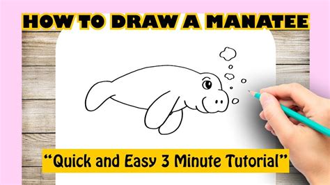How To Draw Manatee Easy Step By Step Youtube
