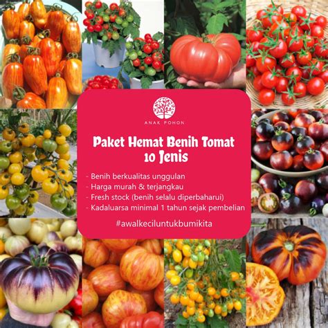 Jual PAKET HEMAT Benih Tomat Heirloom Tomato 10 Jenis Varian Seeds