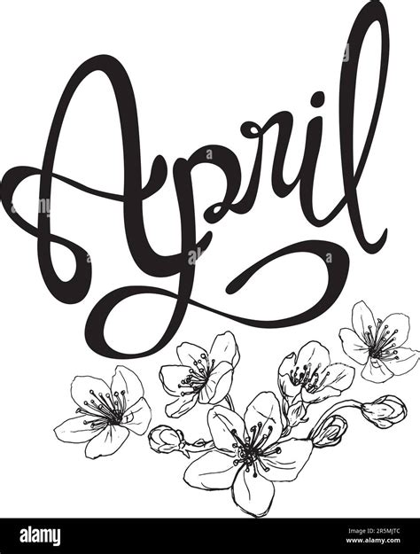 Handwritten And Vectorized Lettering Sign April Graphic Resource On