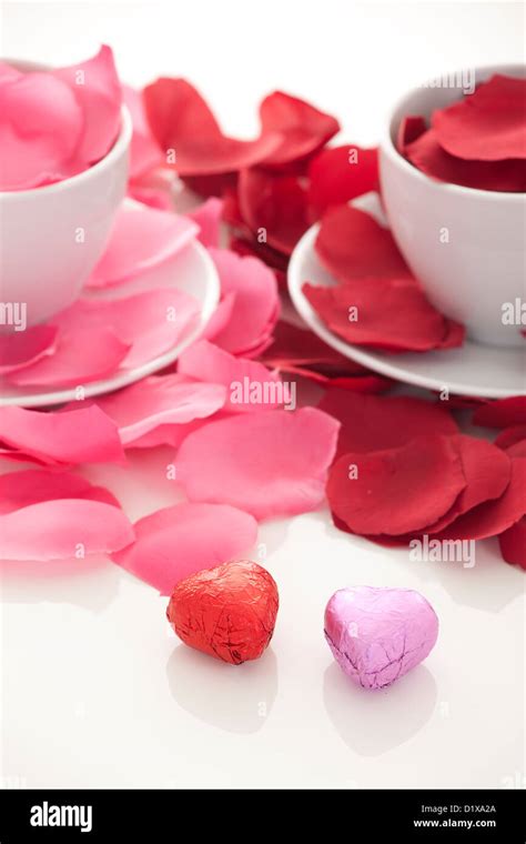 Coffee Cup And Rose Petals Stock Photo Alamy