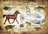 Vermont State Animals Poster Print | Etsy
