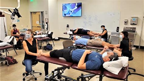 Top Physical Therapy Undergraduate Programs Phyqas