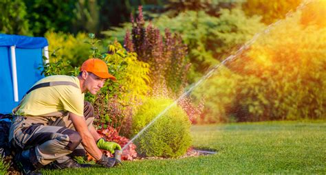Your Guide To The Best Lawn Care Companies Lawnbright