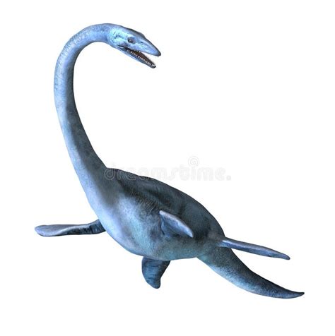 Elasmosaurus Stock Illustration Illustration Of Underwater 43337331