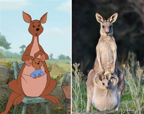 Kanga And Roo Quotes Quotesgram