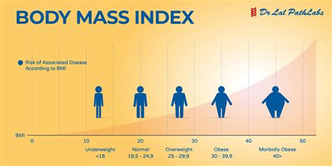 Body Mass Index Bmi What It Is How To Calculate Dr Lal Pathlabs Blog