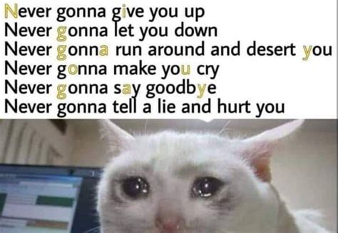 Crying Cat Meme Just For Fun Memes Point