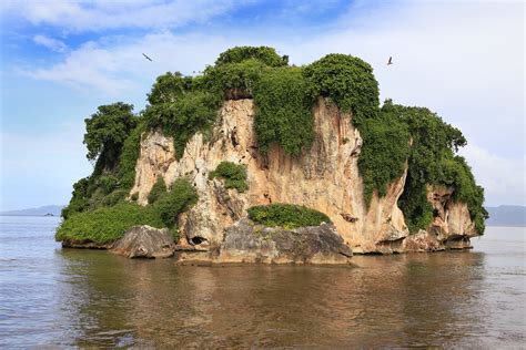 République Dominicaine Pourquoi Visiter La Baie De Samaná