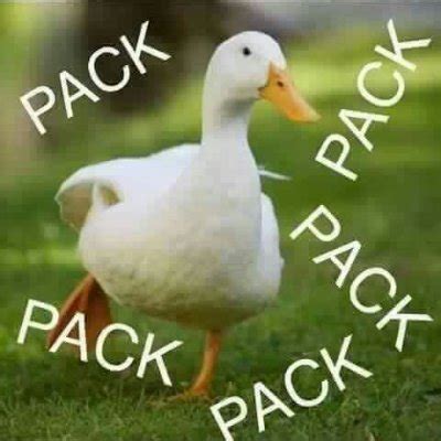 El Ganzo Pack On Twitter Ricopack Mira Su Pack Https T Co