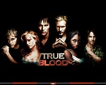 True Blood - True Blood Wallpaper (14920395) - Fanpop