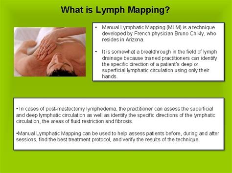 Lymphaticimmune System The Lymphatic System Consists Of 2