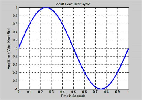 60 Beat Per Minute Adult Heart Download Scientific Diagram