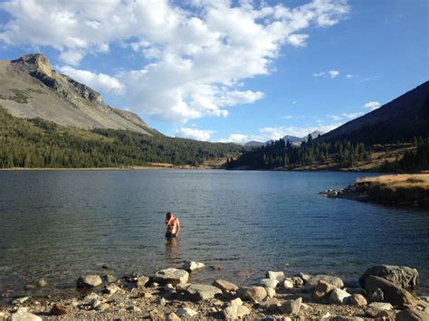 Tioga Lake Campground Inyo Ca Hipcamper Review And Photos