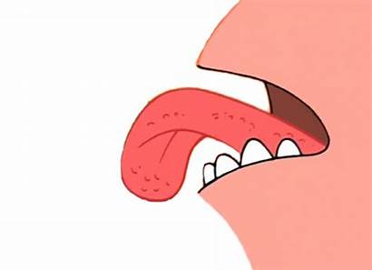 Patrick Tongue Spongebob Transparent Cartoon Squarepants Nickelodeon
