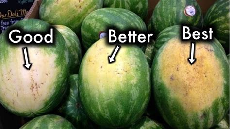 Do you remember how to pick out a good one? How To Pick The Sweetest Watermelon Every Single Time ...