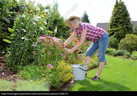 We did not find results for: Gartenarbeit im Juli - Lizenzfreies Bild - #7380115 ...